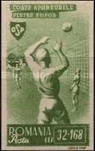 Volleyball