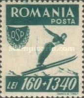 Ski Jumping