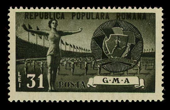 Women's Gymnastics