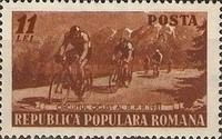 Bicycle Race