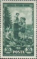 Pioneers Study Plants