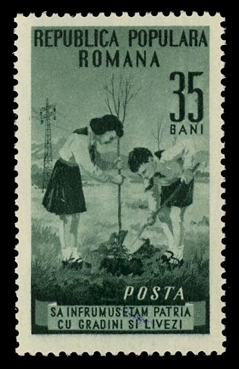 Pioneers planting a tree