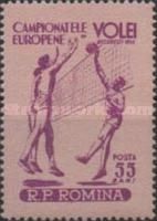 Volleyball players