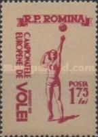 Volleyball player