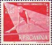 Woman Gymnast on the Parallel Bars