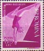Woman Gymnast on the Balance Beam