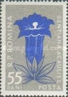 Stemless Gentian (Gentiana clusii)