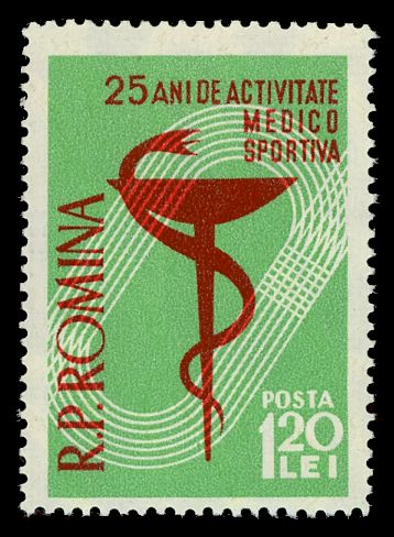 25 Years of Sports Medicine service