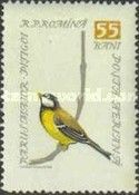 Great Tit (Parus major)