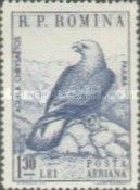 Golden Eagle (Aquila chrysaetos)