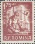 Construction Worker (Mason)