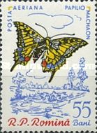 Swallowtail (Papilio machaon)