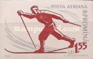 Cross-country Skiing