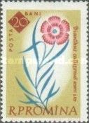King's Clove (Dianthus callizonus)