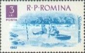 Canoe Slalom