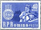 Female tractor driver plowing