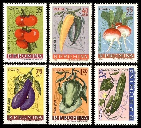 Tomatoes (Lycopersicon esculentum)