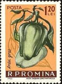 Paprika (Capsicum annuum)