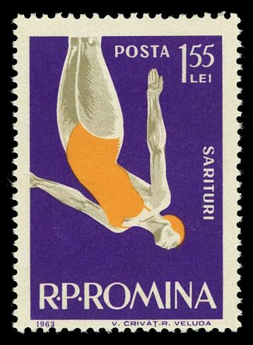 Springboard Diver