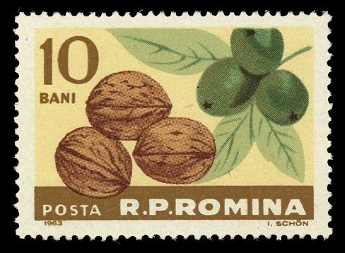 Walnuts (Juglans regia)