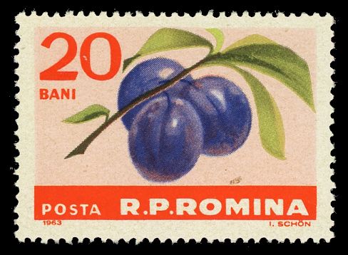 Plums (Prunus domestica)