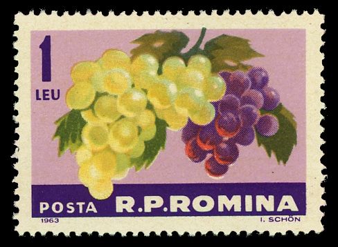 Grapes (Vitis vinifera)