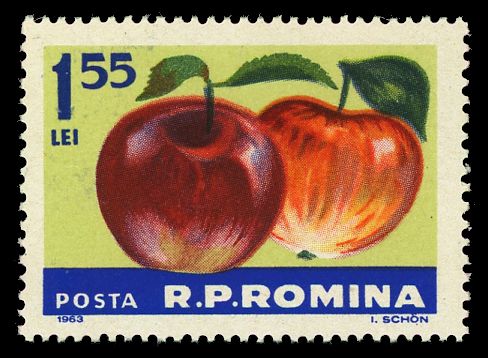 Apples (Malus sylvestris var. domestica)