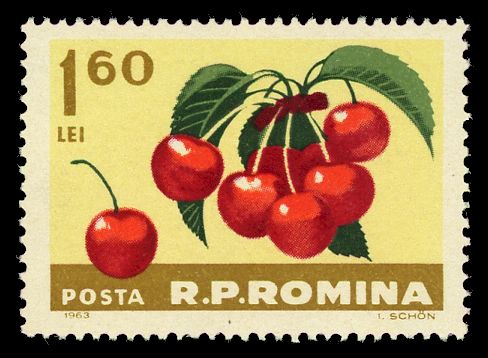 Cherries (Prunus avium)
