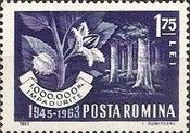 Beech with Beech-nut and Beech Forest