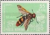 Mammoth Wasp (Scolia maculata)