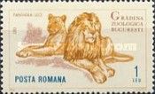 Lion (Panthera leo)