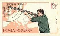 Rifleman standing
