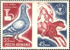 Carrier Pigeon (Columba livia forma domestica), Post Horn, L
