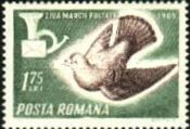 Carrier Pigeon (Columba livia forma domestica), Post Horn, L