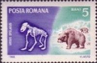 Cave Bear (Ursus spelaeus)