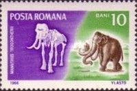 Steppe Mammoth (Mammuthus trogontherii)