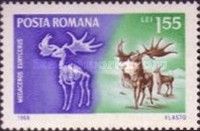 Irish Elk (Megaceros eurycerus)