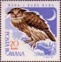 Eurasian Eagle-Owl (Bubo bubo)