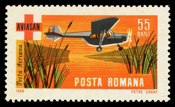 Small Aircraft over Marsh and Aviasan Badge