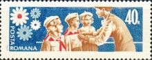 Young Pioneers