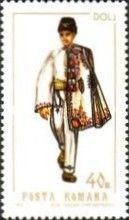 Dolj (male)