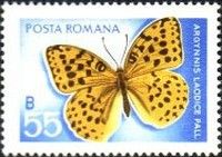 Pallas's Fritillary (Argynnis laodice)