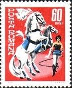 Animal trainer with horses