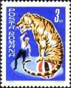 Animal trainer with tiger