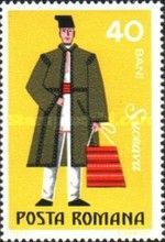 Suceava (male)