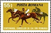 Three Horses Racing