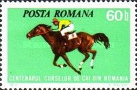 Horse Galloping