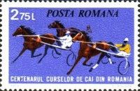 Three trotters racing