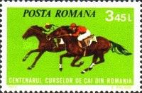 Two horses racing