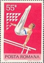 Gymnast on parallel bars